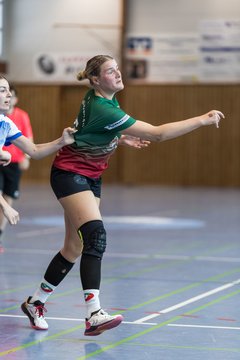 Bild 221 - F HSG Kremperheide/Muensterdorf - ATSV Stockelsdorf 2 : Ergebnis: 47:32
